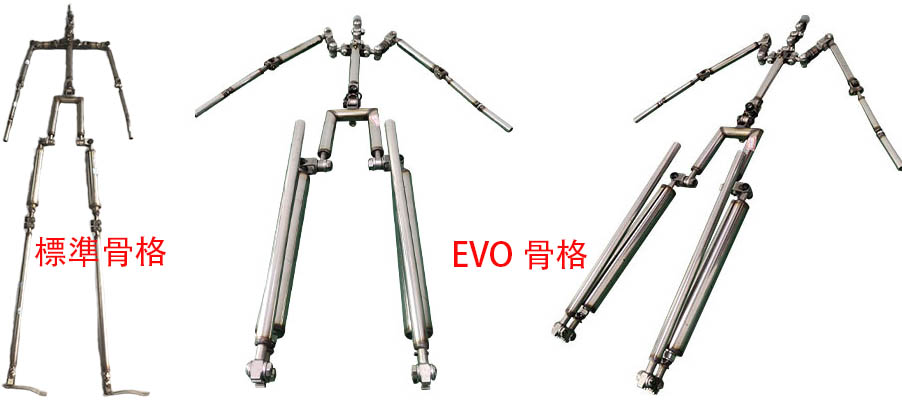 ラブドールの骨格の比較